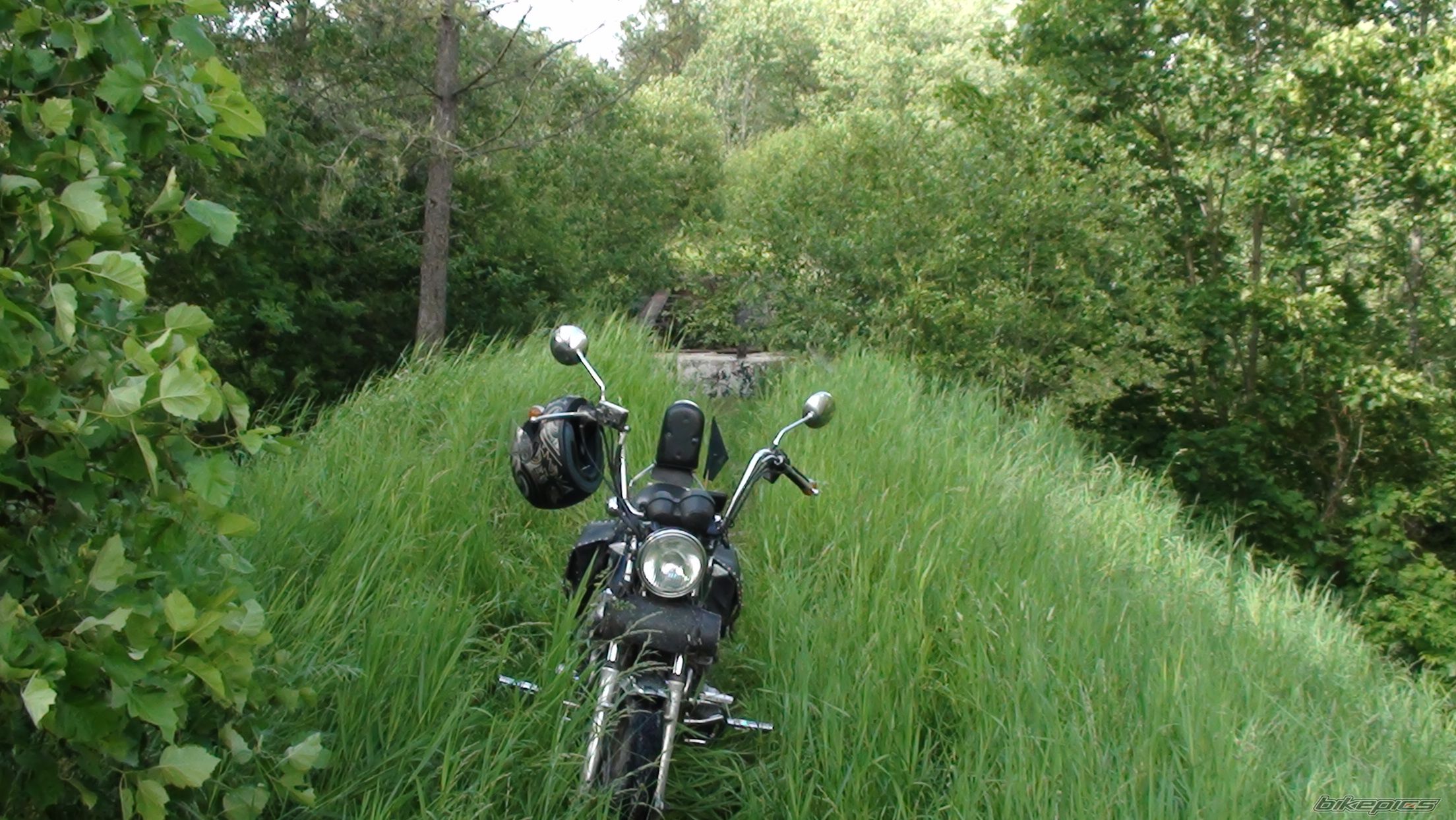 Photo 2465960