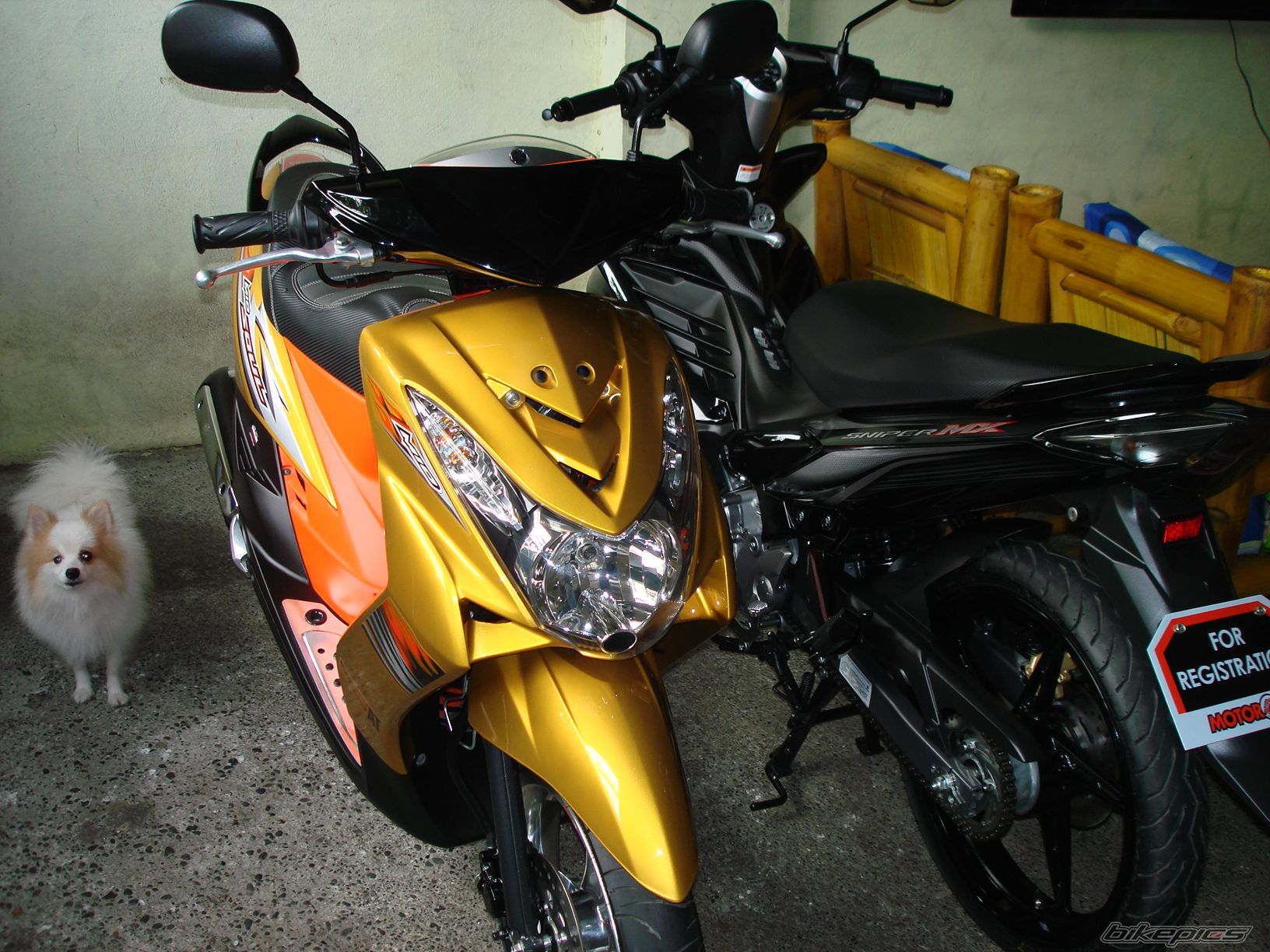 Photo 2467201