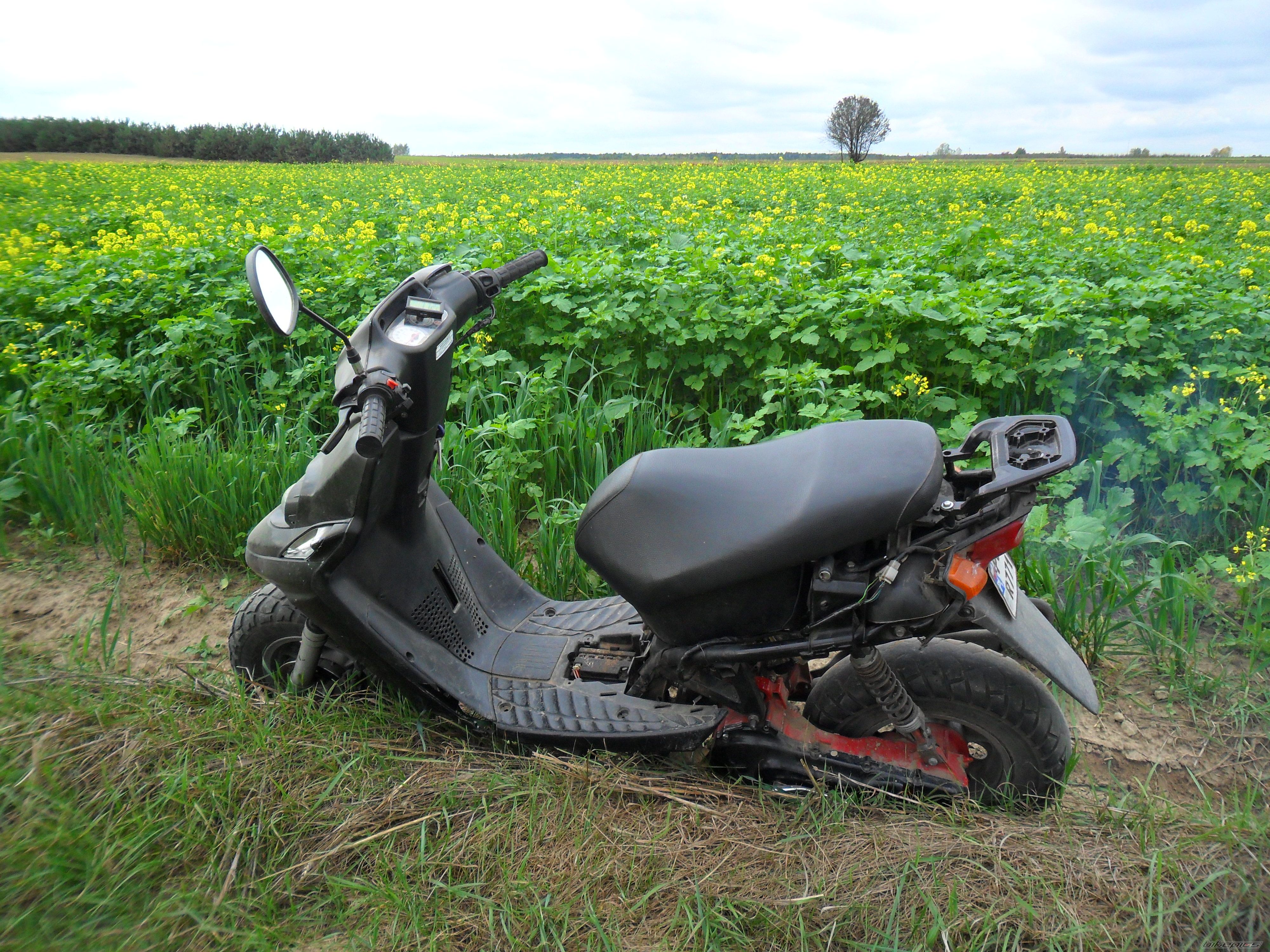Photo 2467944