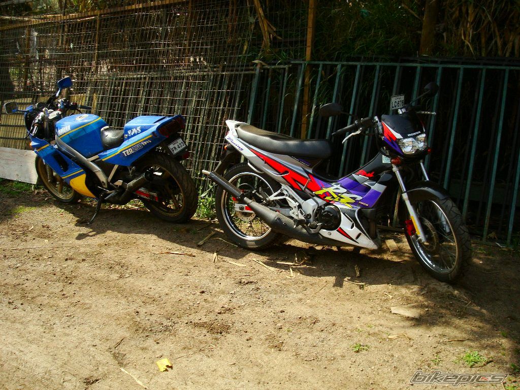 Photo 2467946