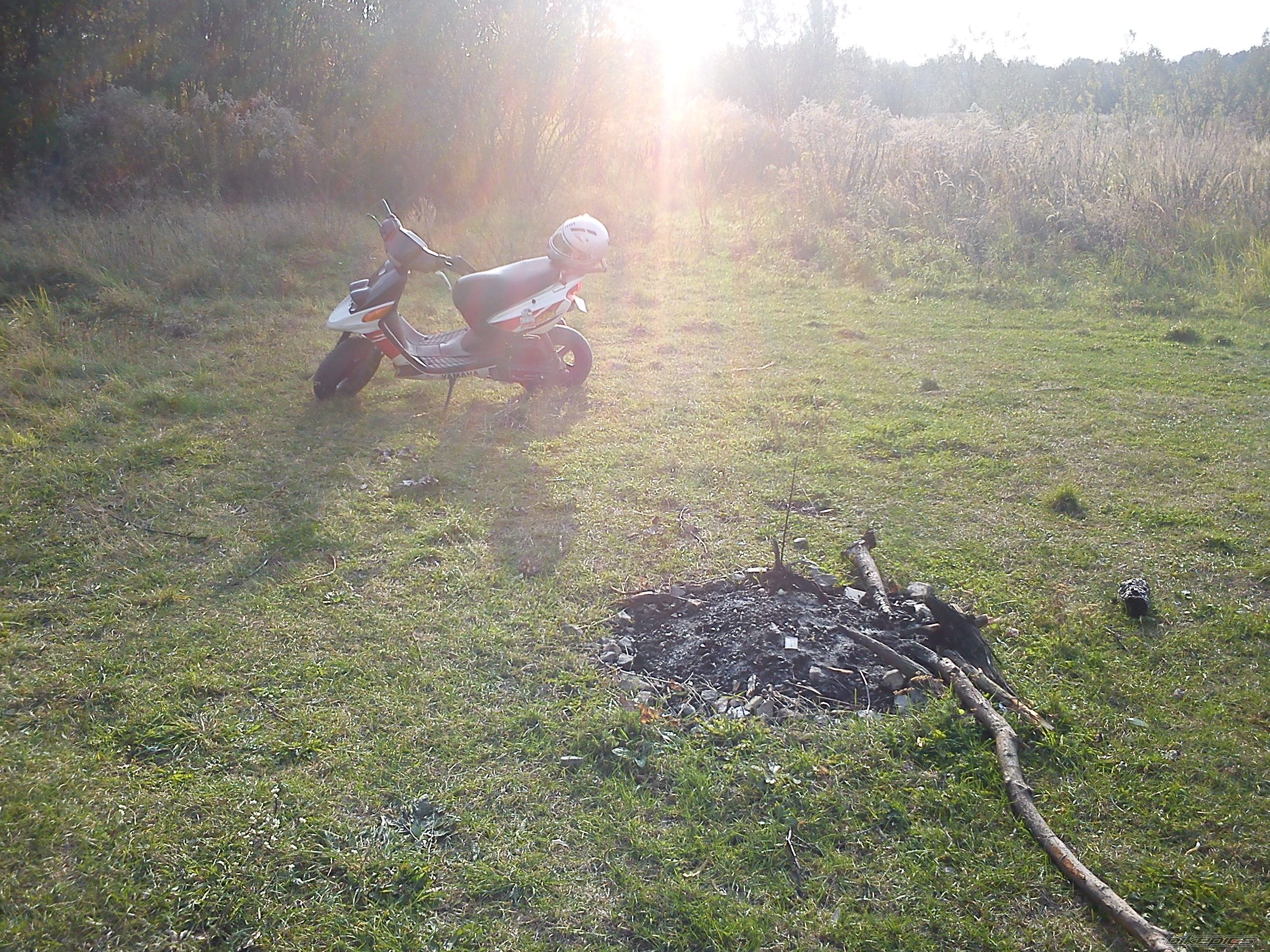 Photo 2468246