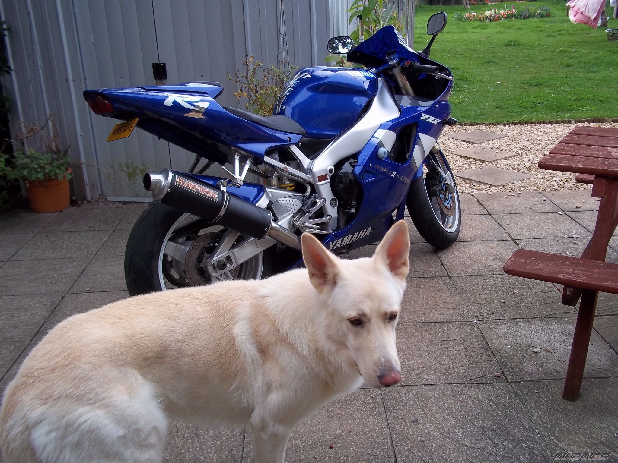 Photo 2468403