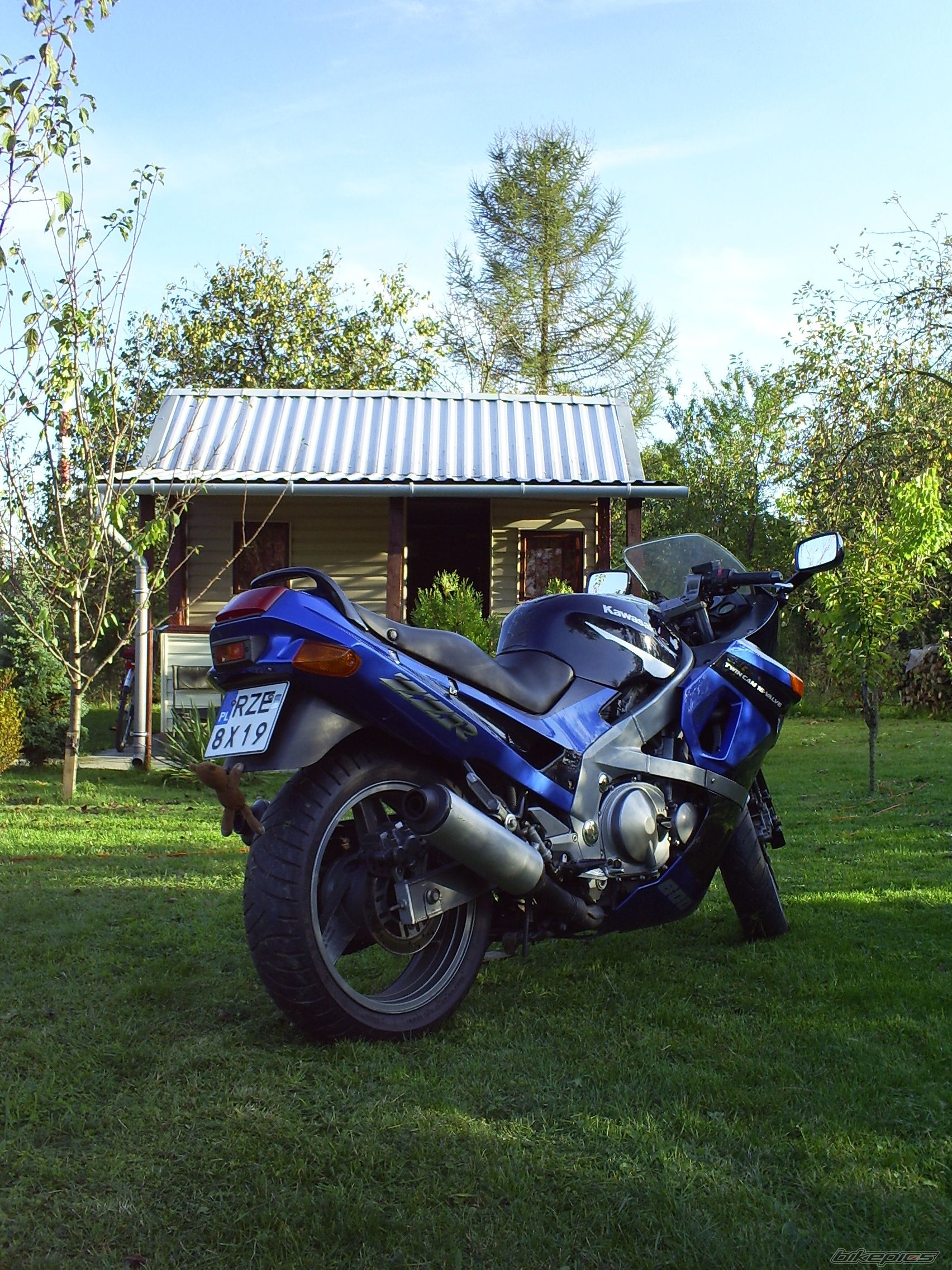 Photo 2468789
