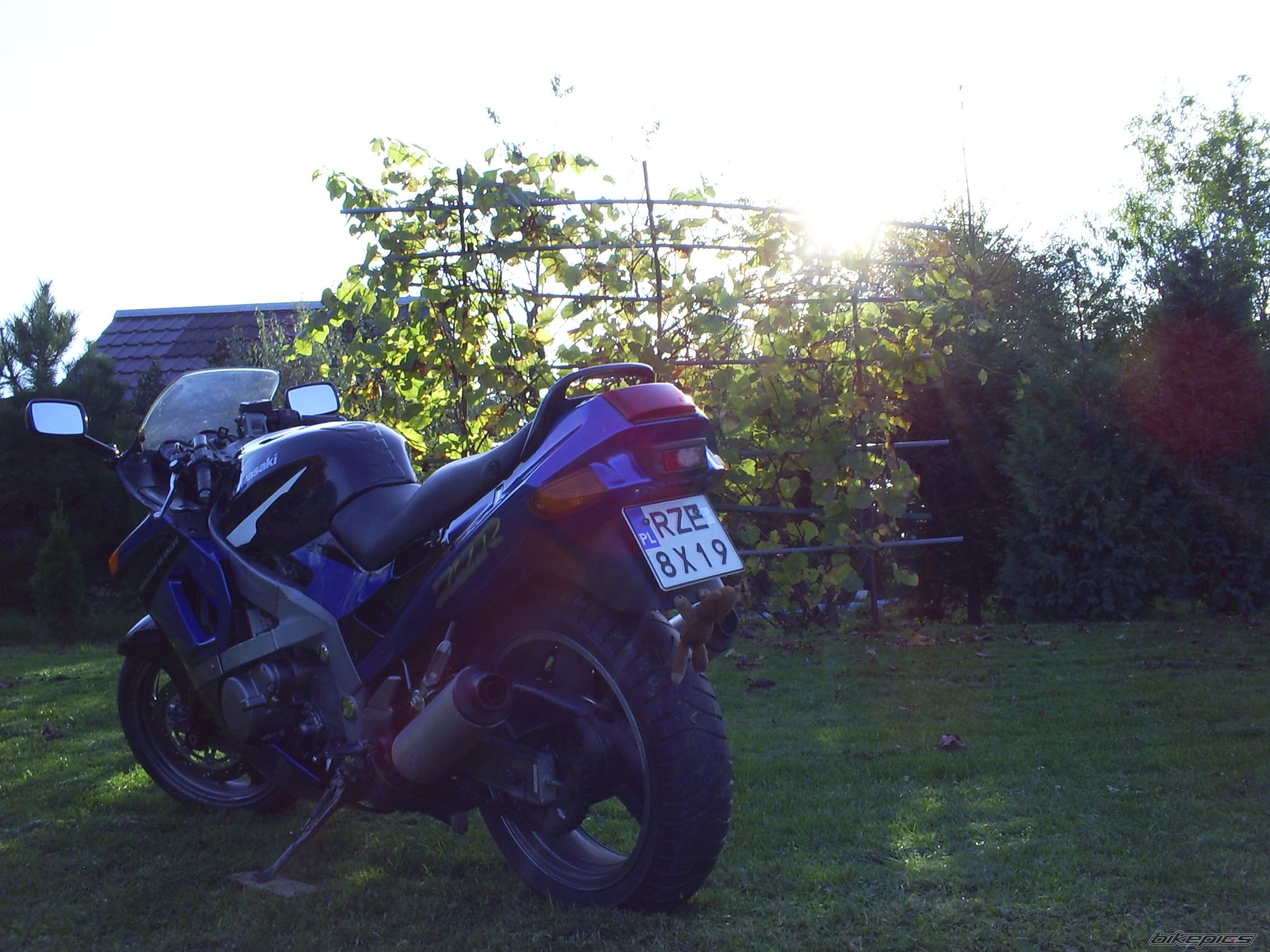 Photo 2468790