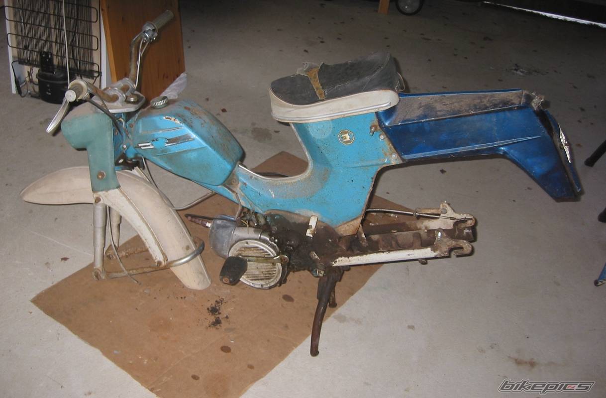 Photo 246882