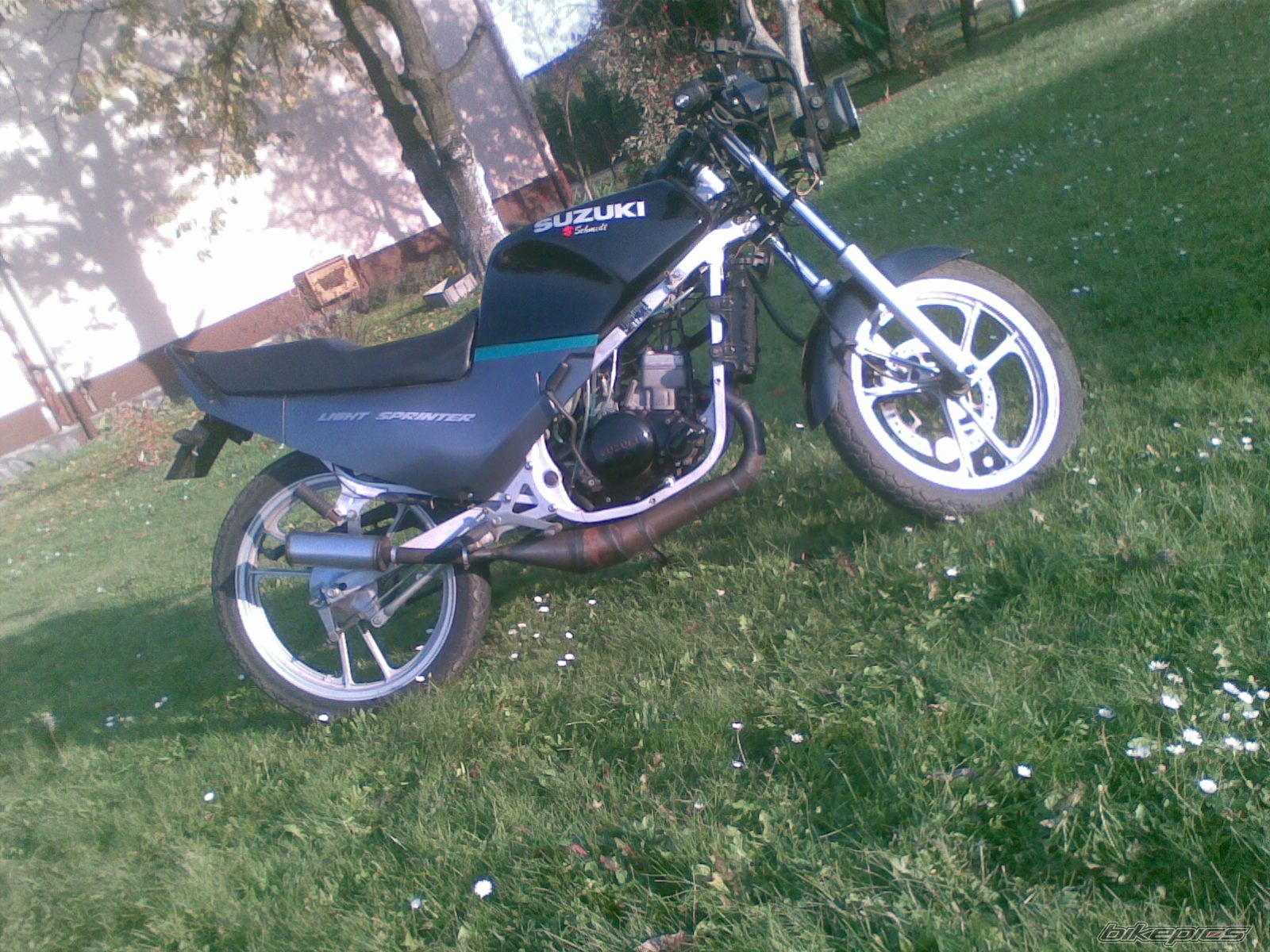 Photo 2470450