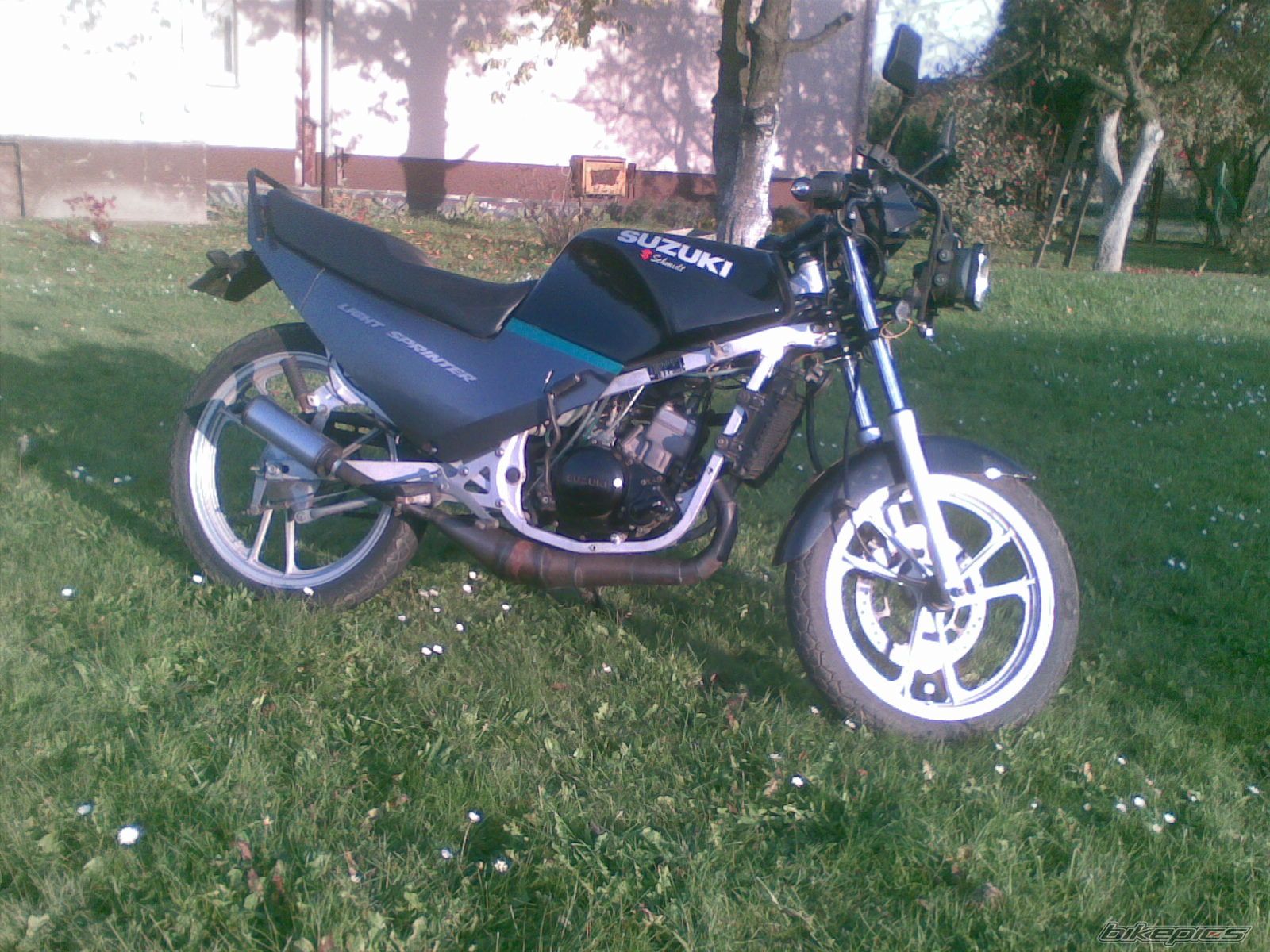 Photo 2470457