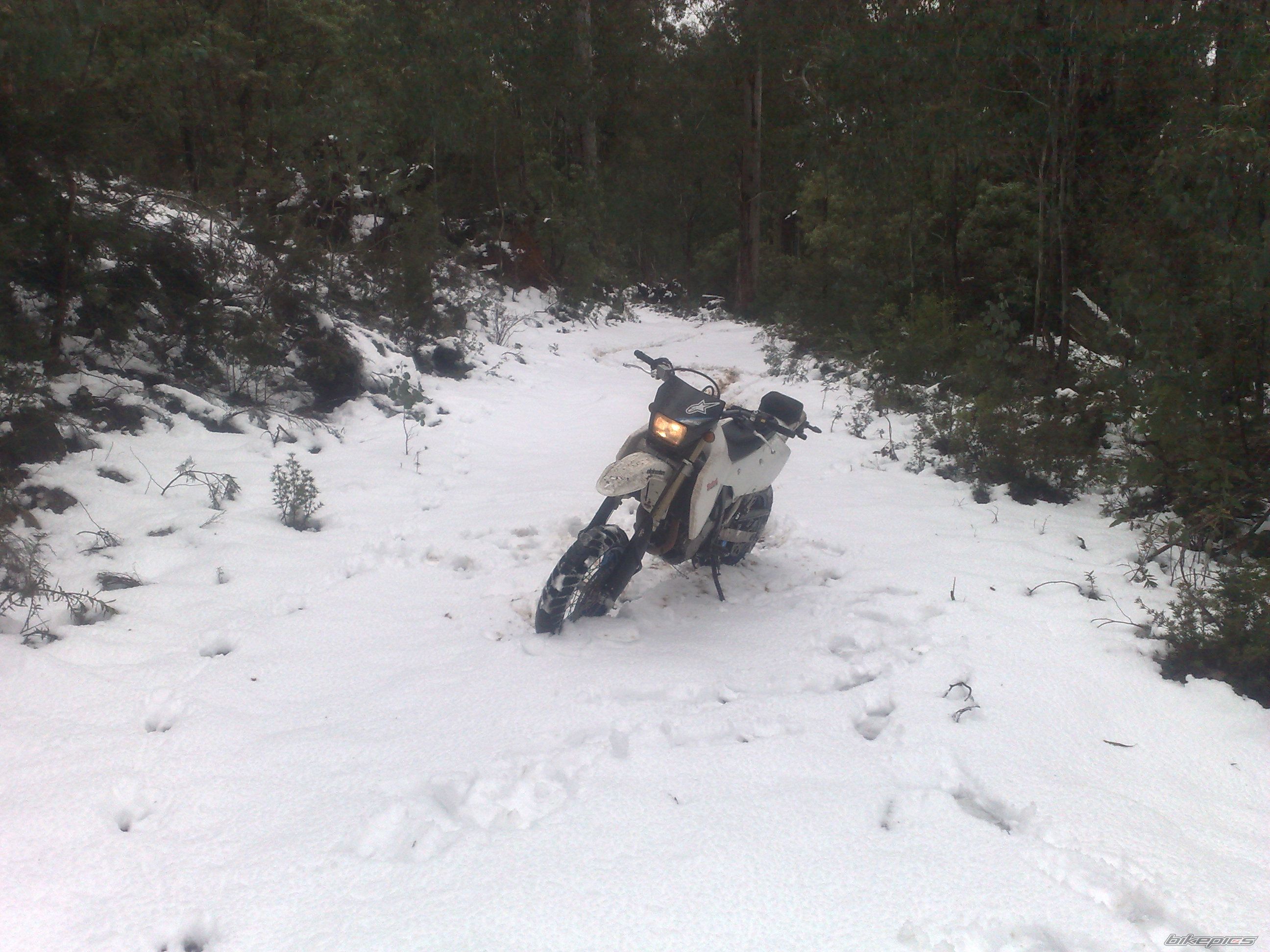 Photo 2470651