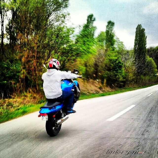 Photo 2470689