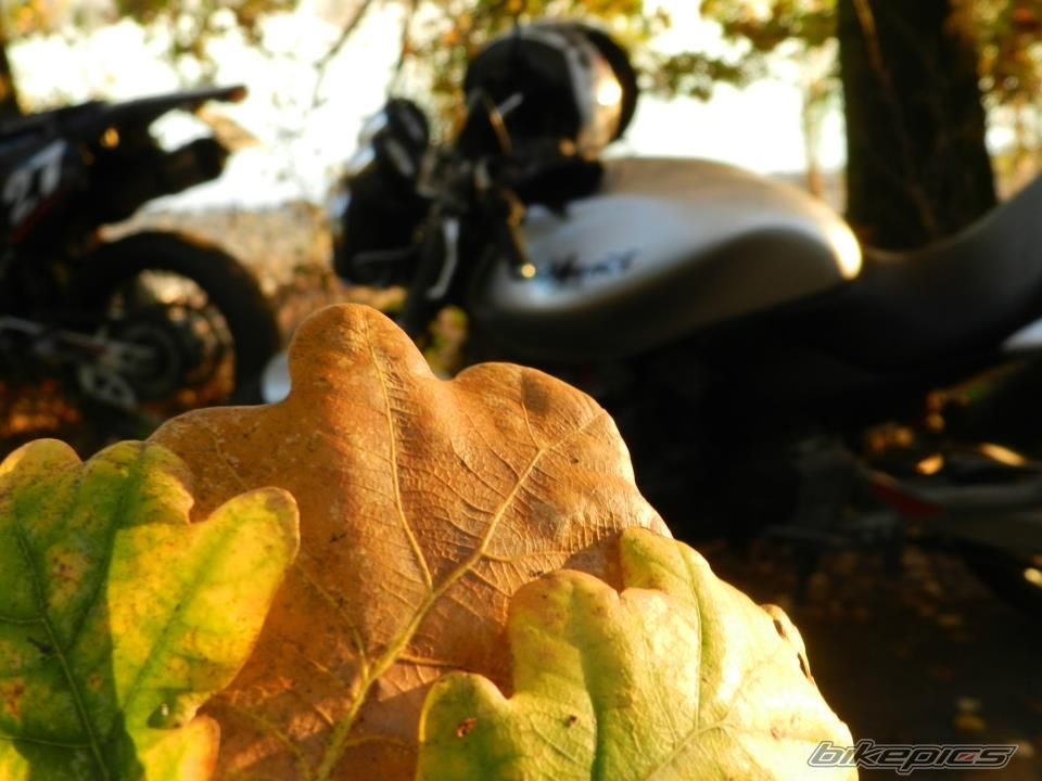 Photo 2471125