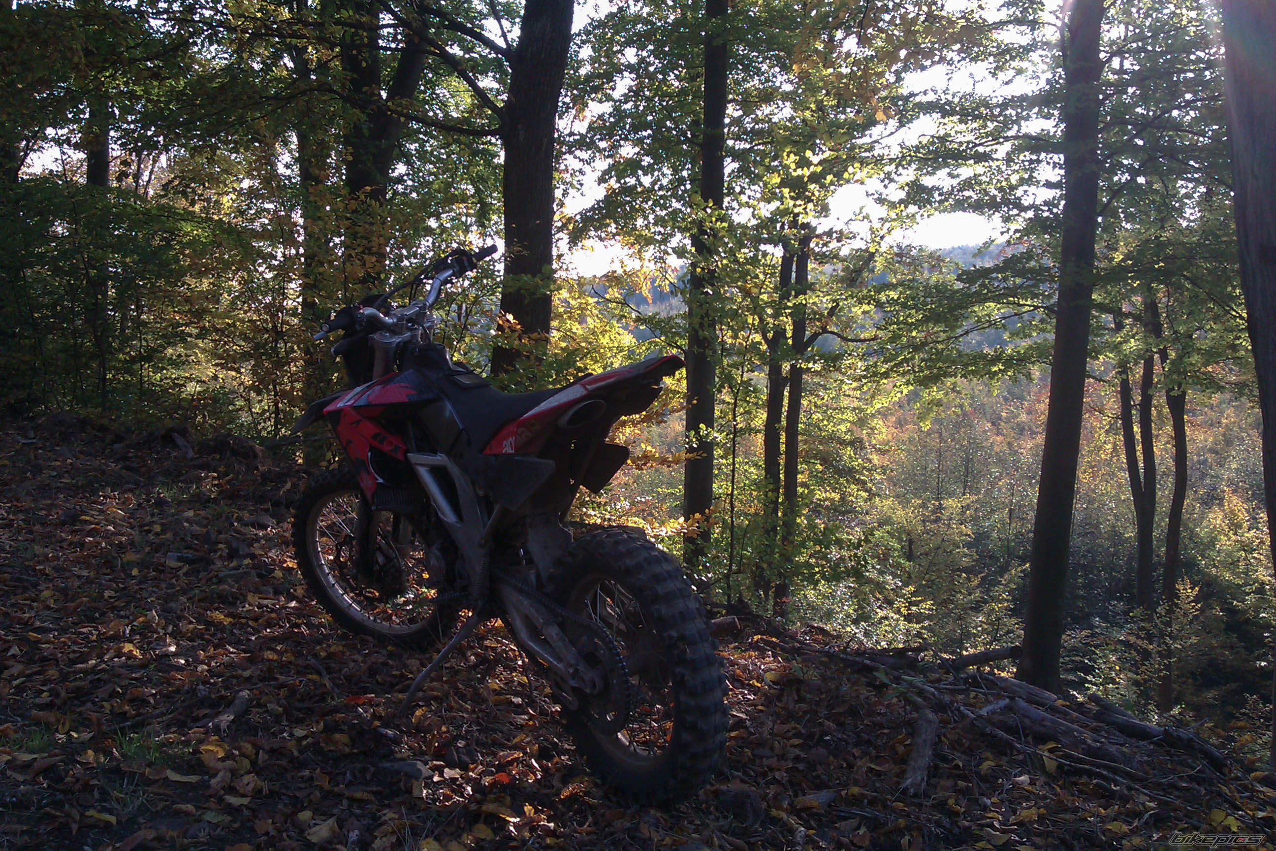 Photo 2471319