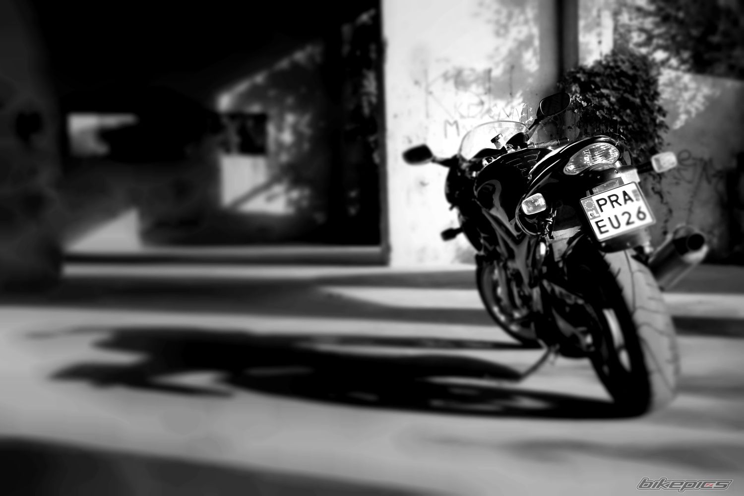 Photo 2473121