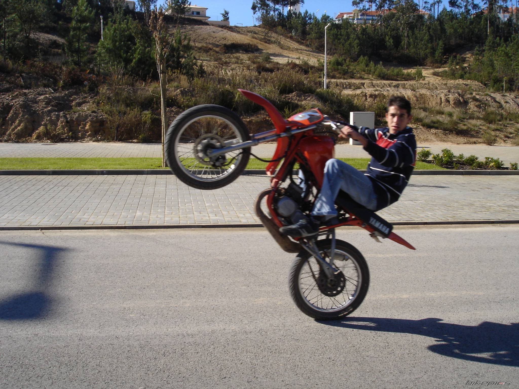 Photo 247515