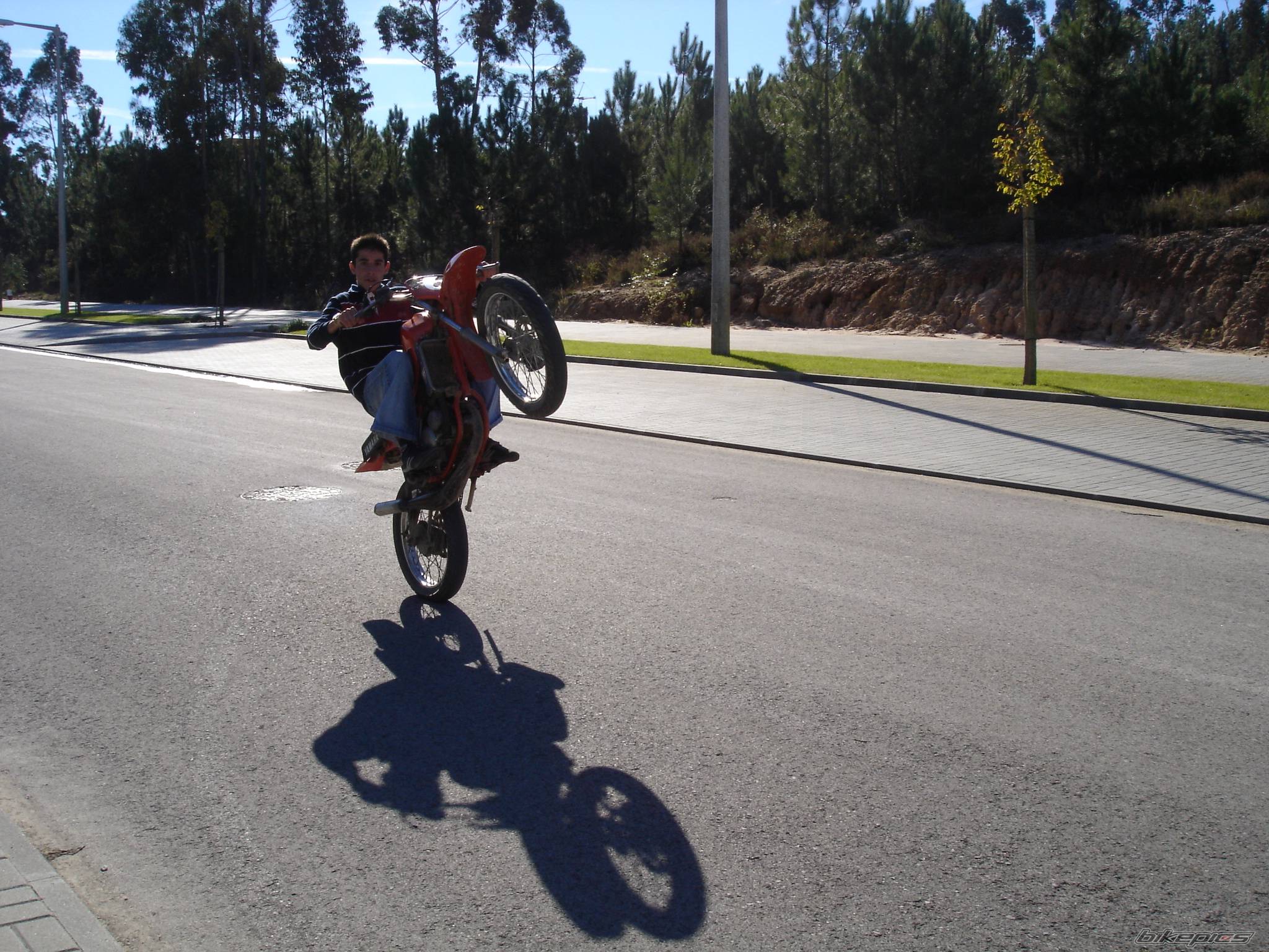 Photo 247519