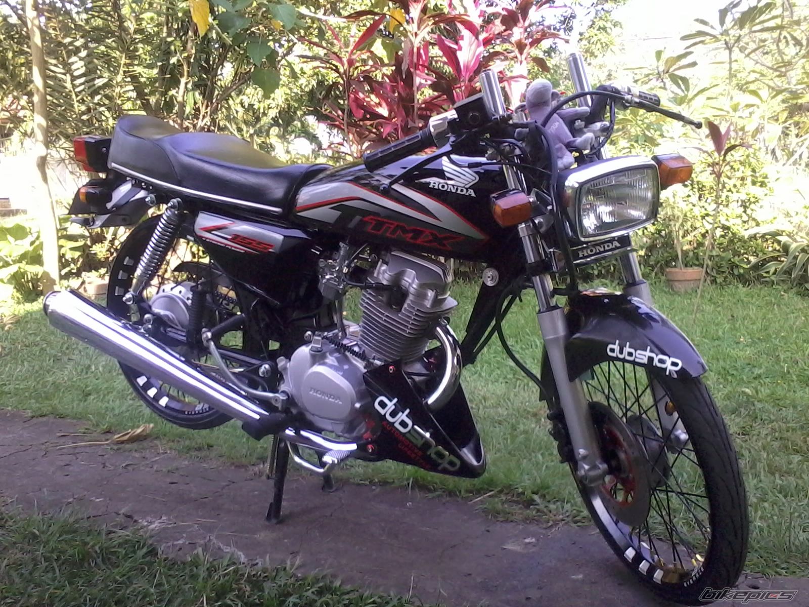 Photo 2475307