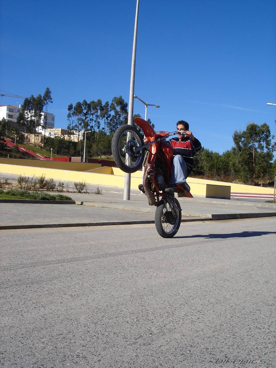 Photo 247532
