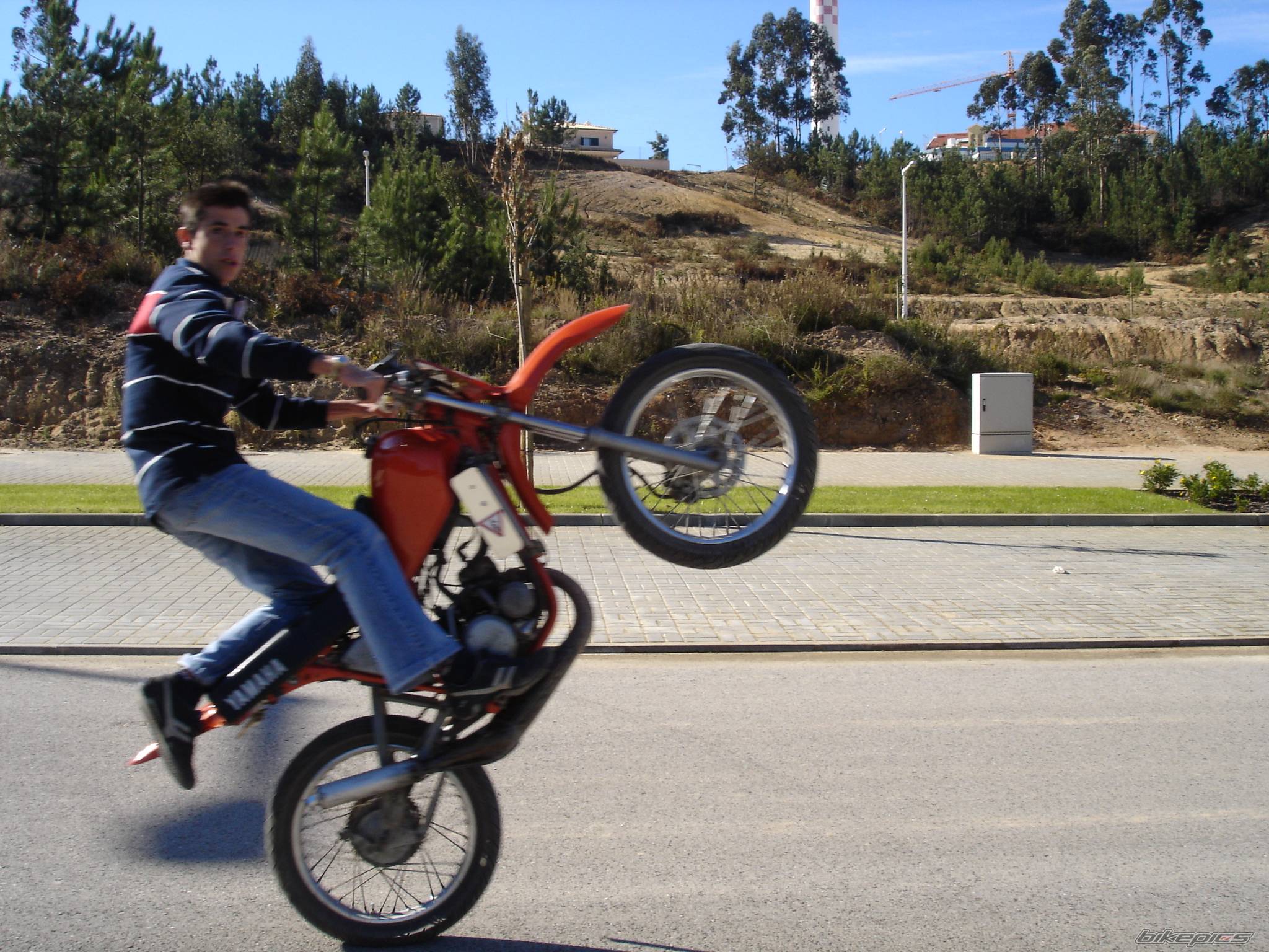 Photo 247543