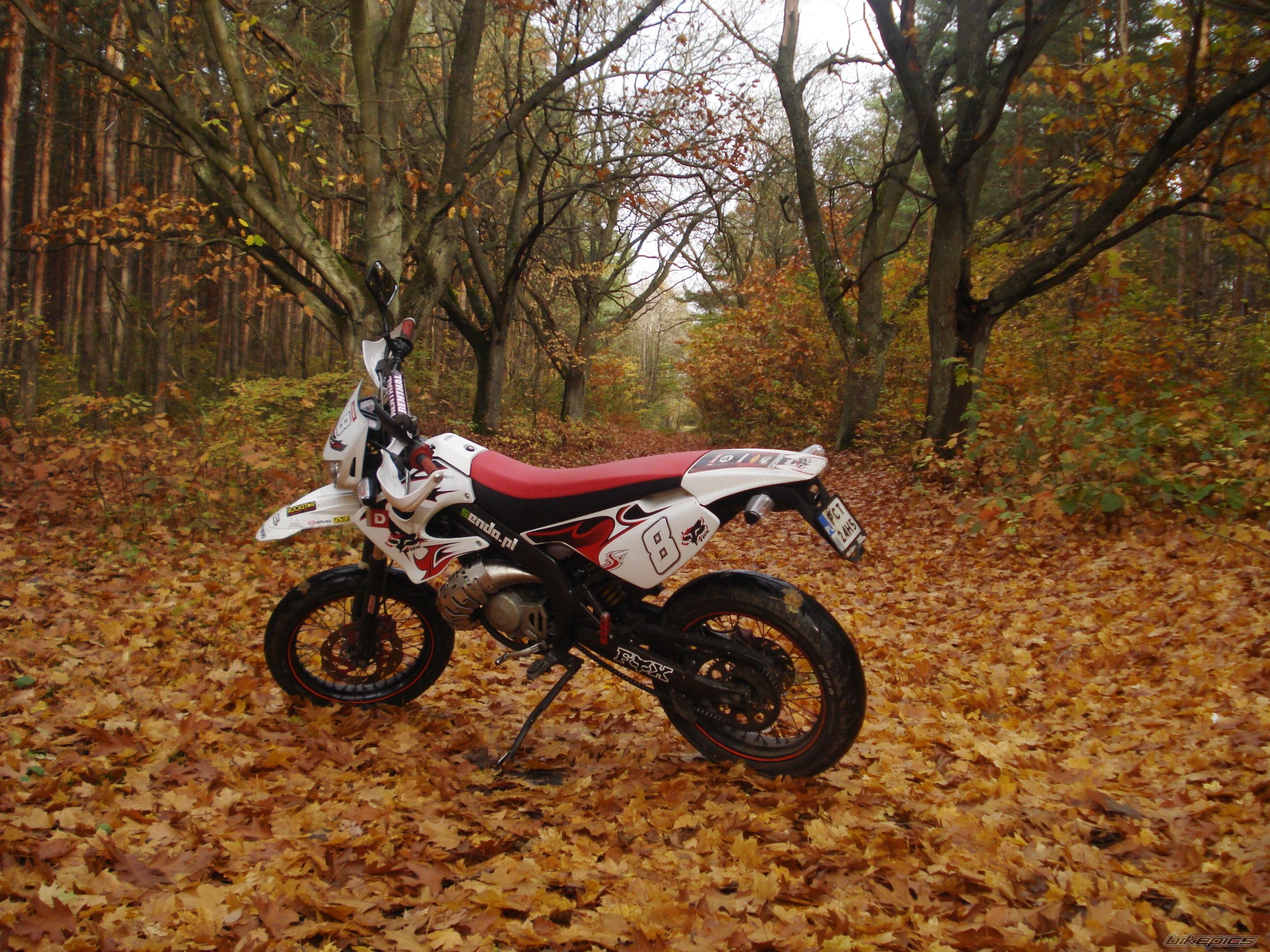 Photo 2475489