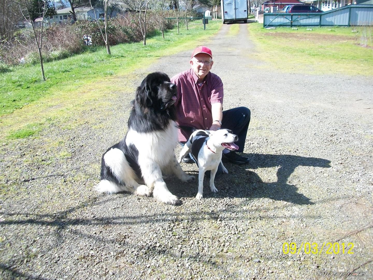 Photo 2475840