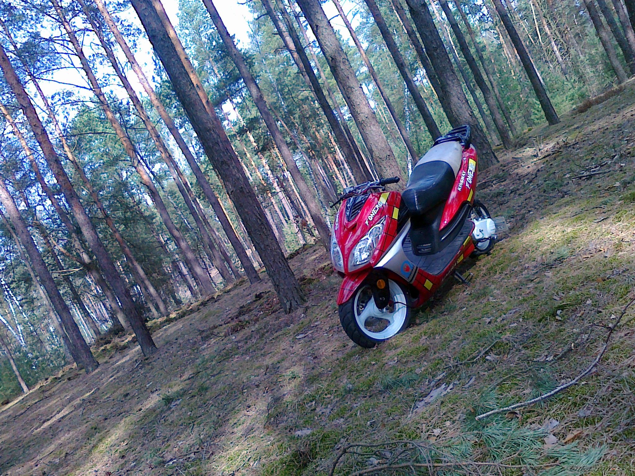 Photo 2478520