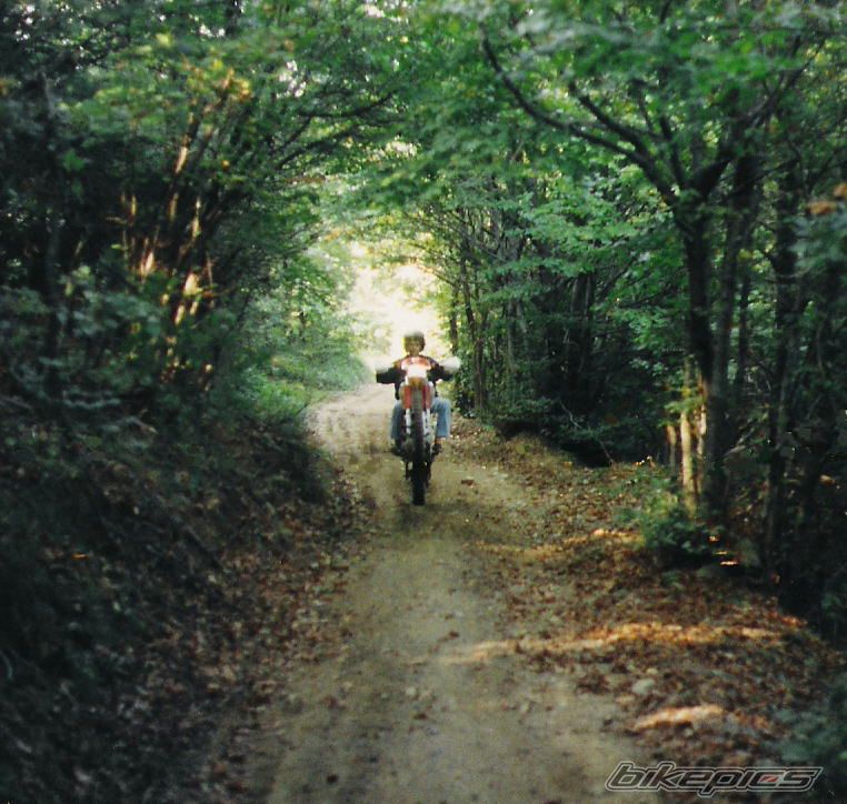 Photo 2479393