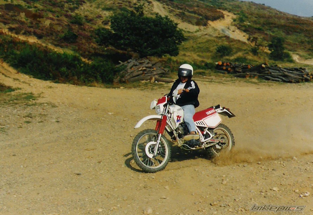 Photo 2479394