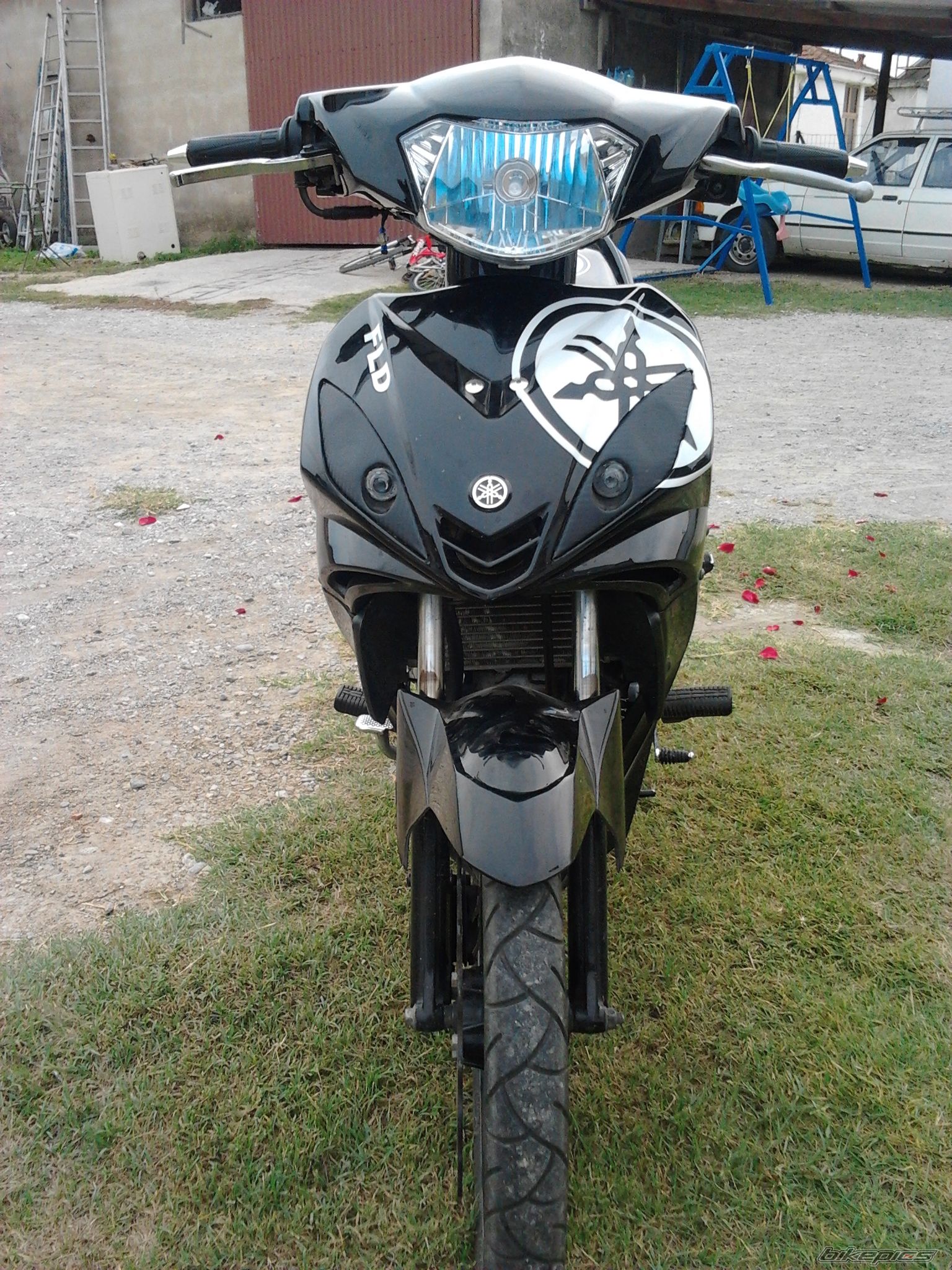 Photo 2479408