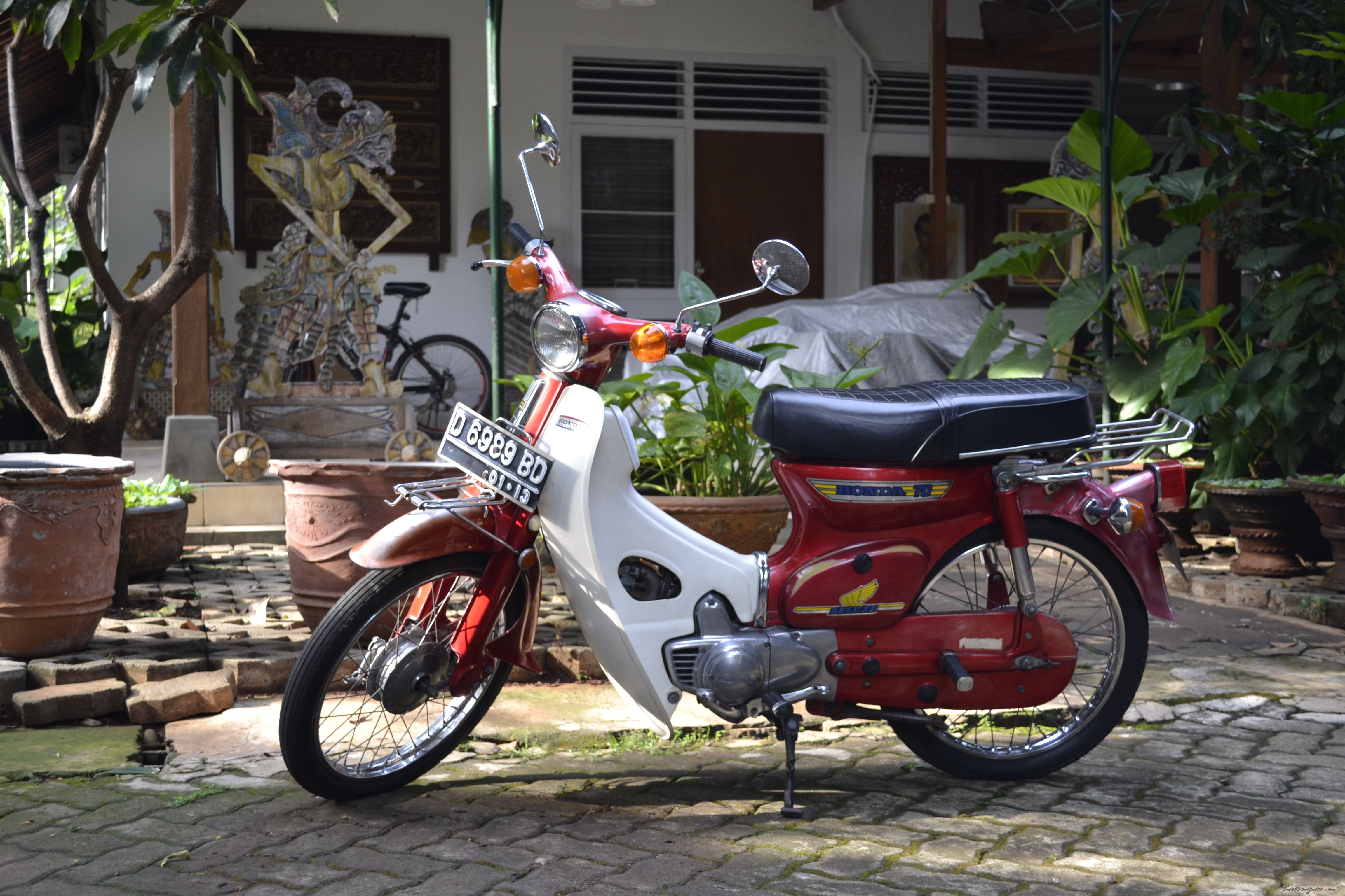 Photo 2479711