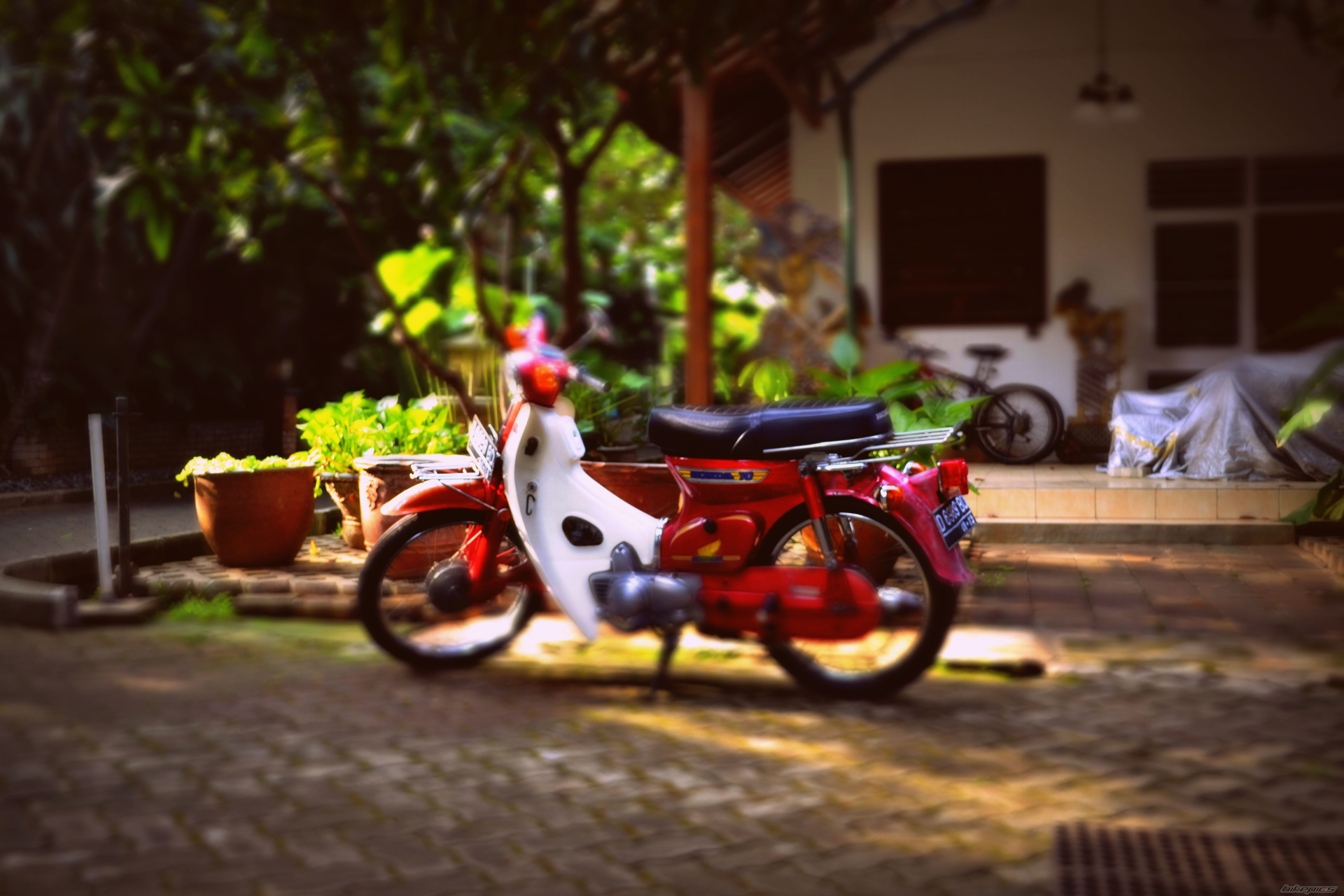 Photo 2479715