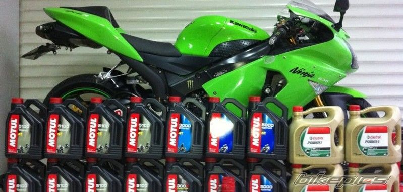 Photo 2479739