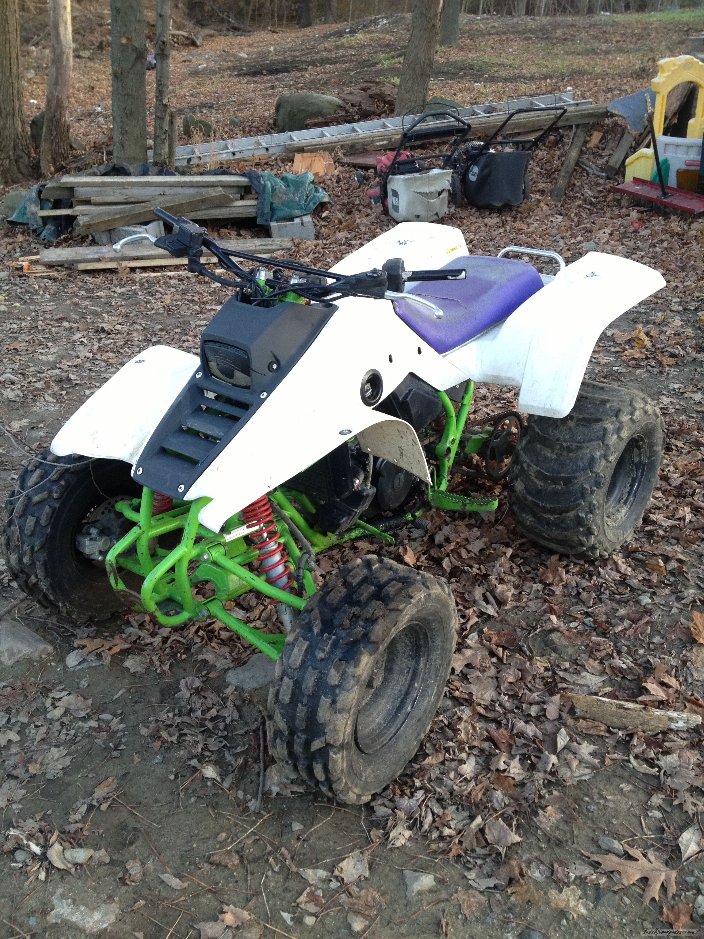 Photo 2480795