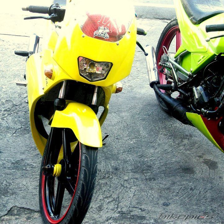 Photo 2481300