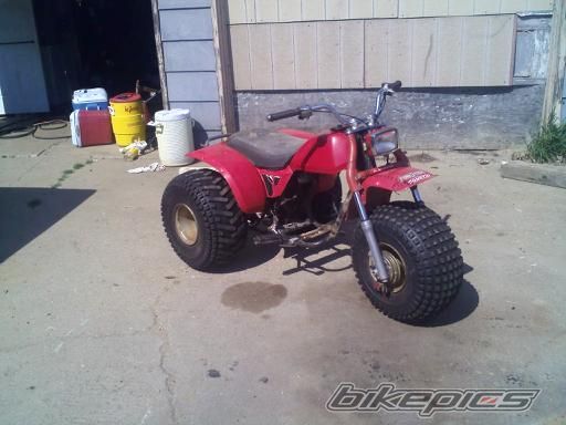 Photo 2482341