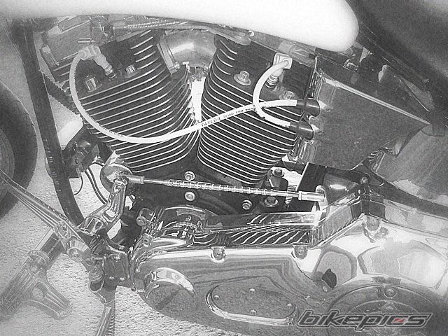 Photo 2483246