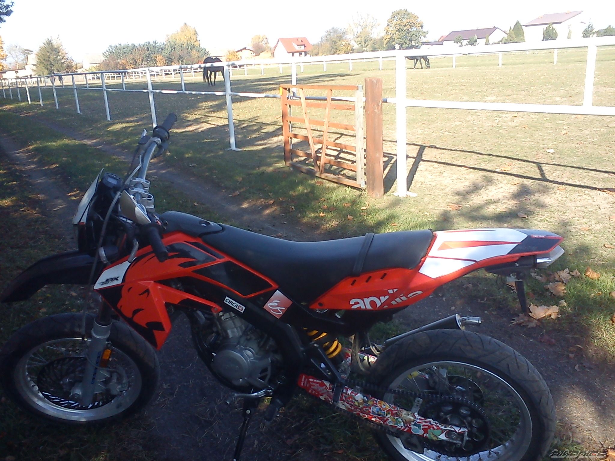Photo 2484286
