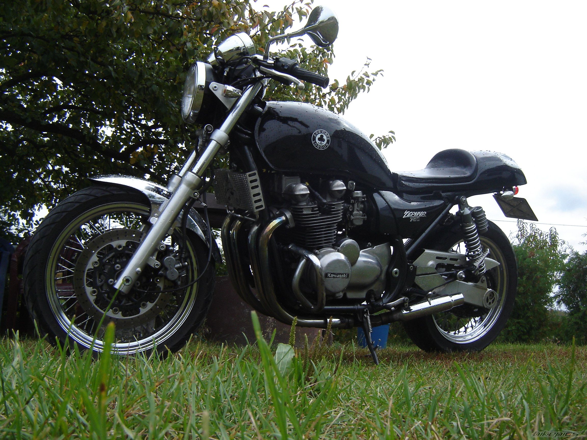 Photo 2484461