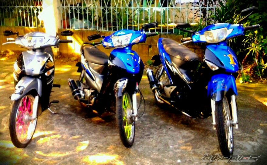 Photo 2484786