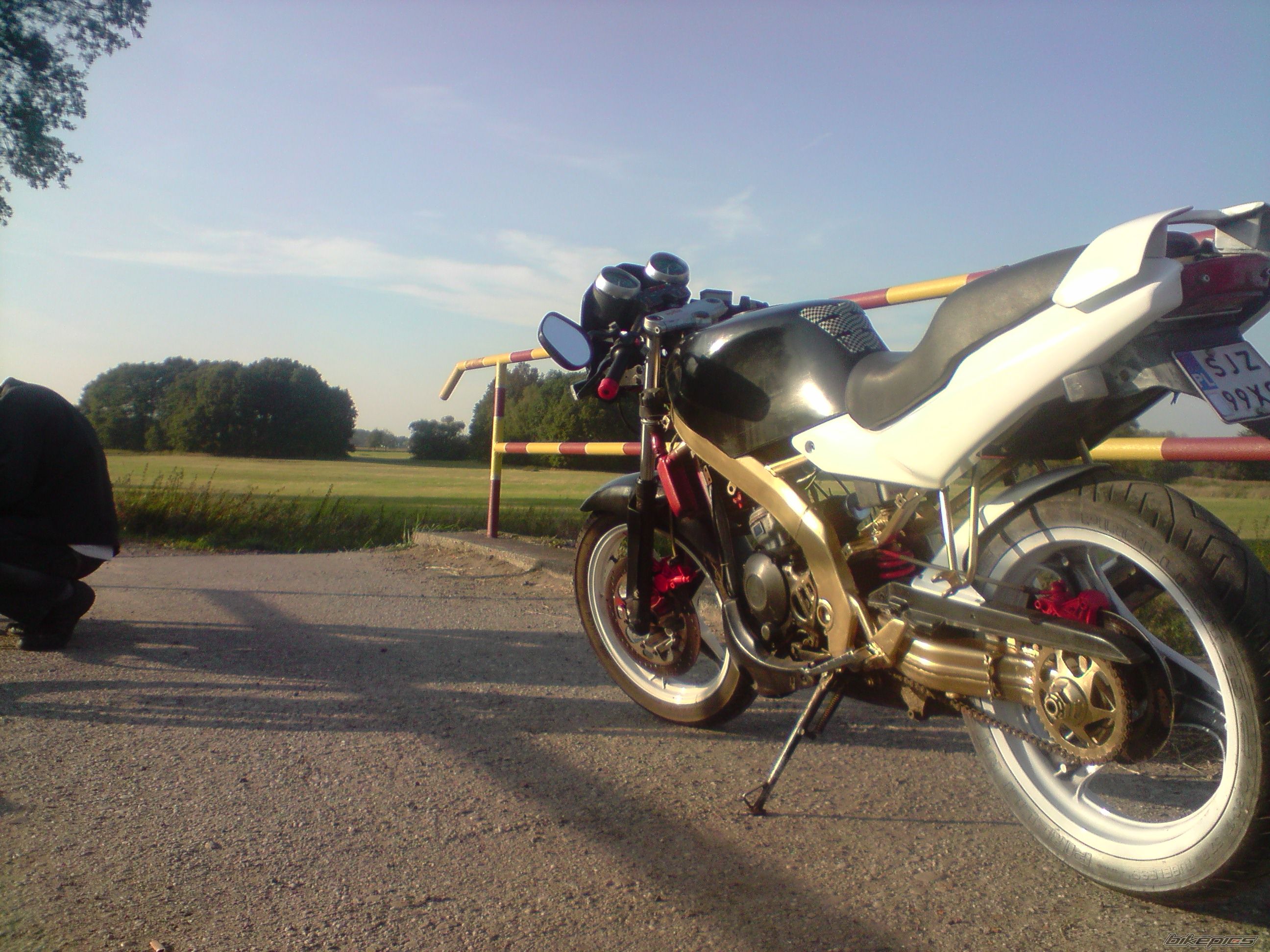Photo 2486165