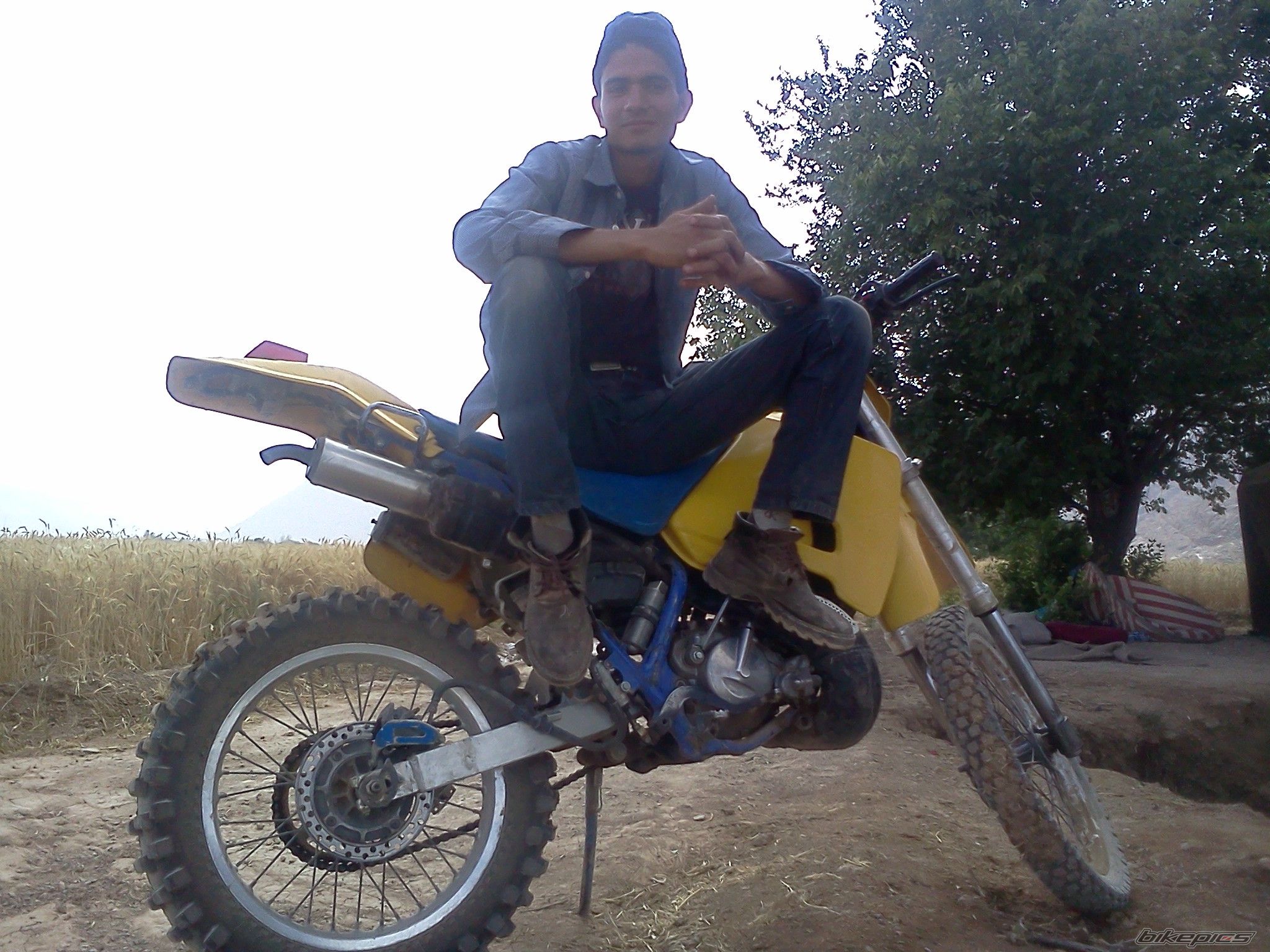 Photo 2486479