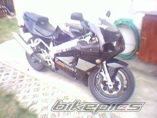 Photo 248700