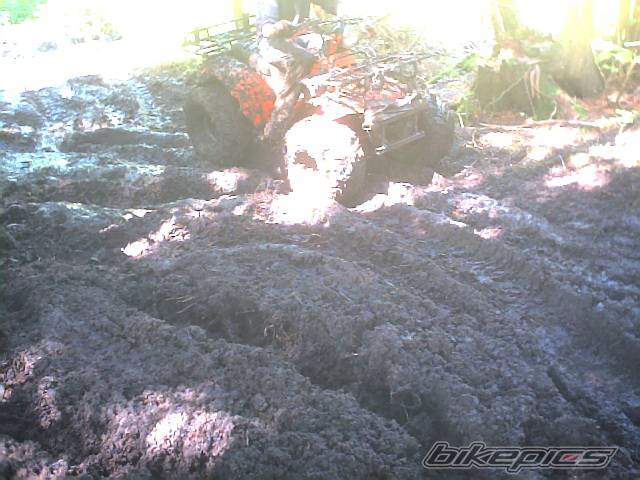 Bike Photo 248731