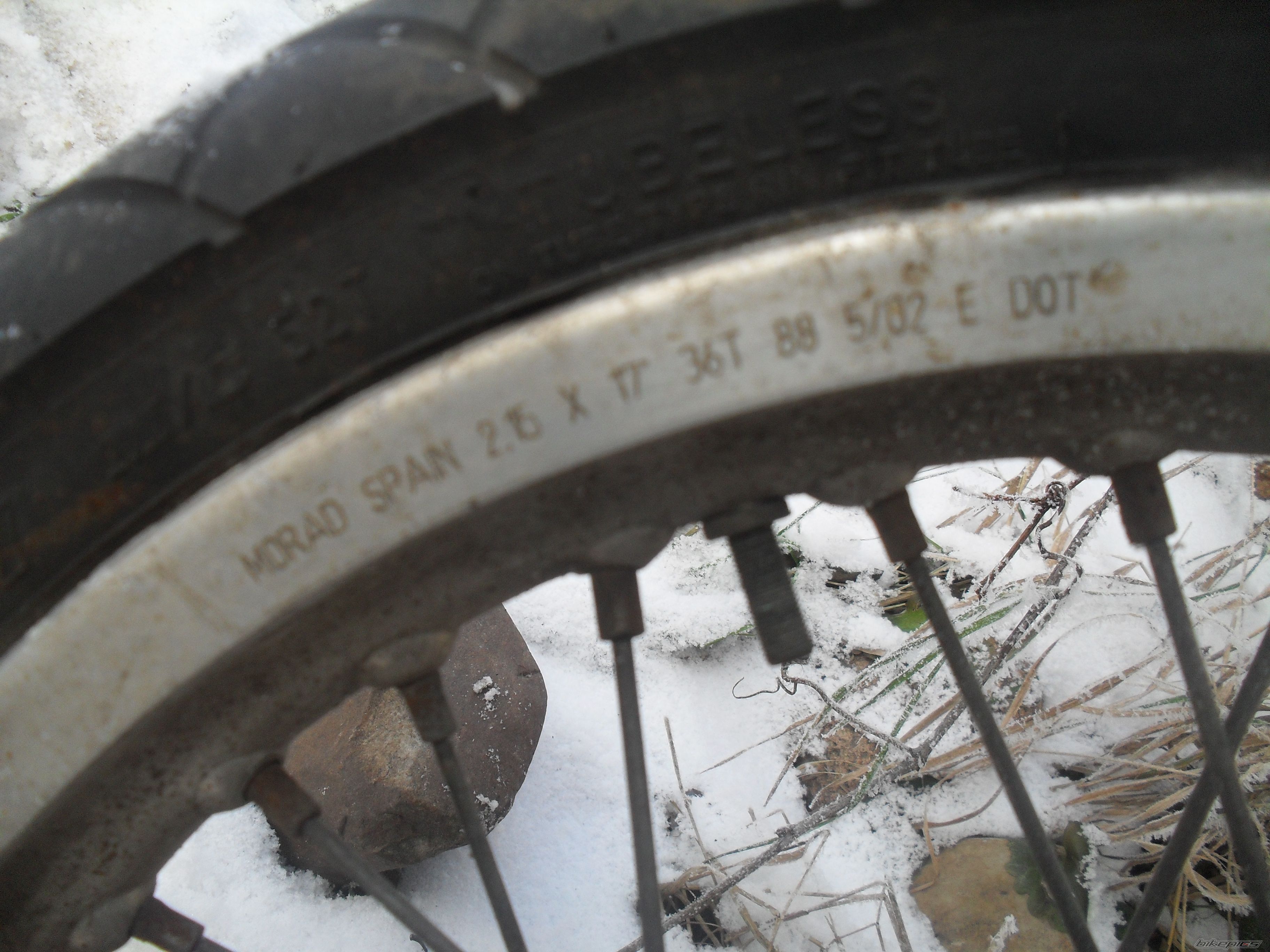 Photo 2488493