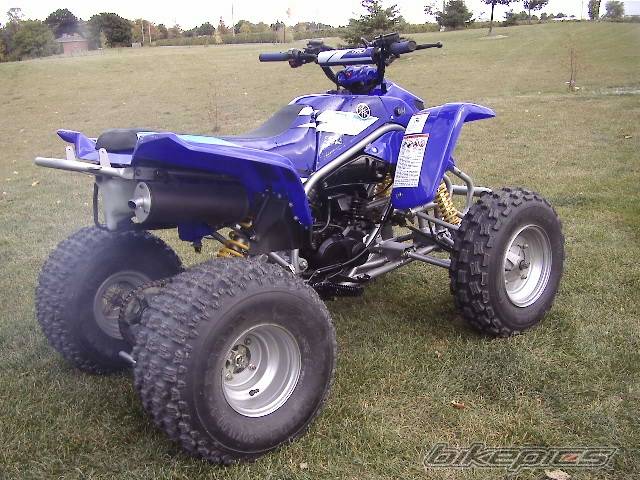 Photo 248858