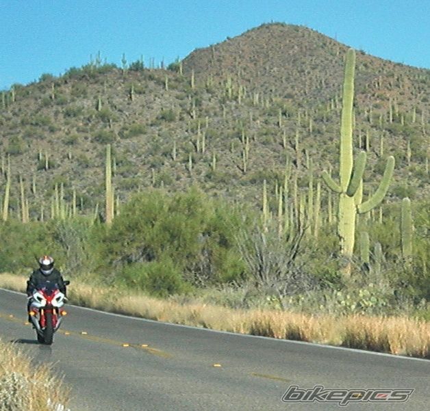 Bike Photo 2489225