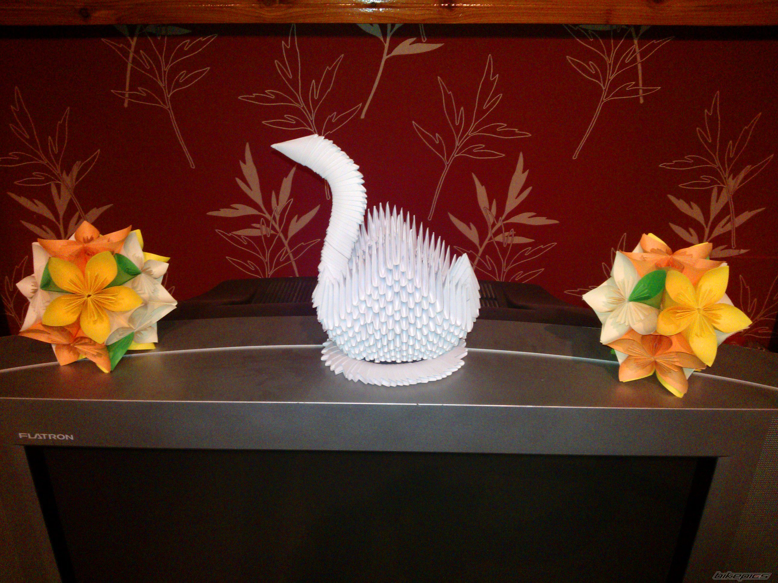 Photo 2490513