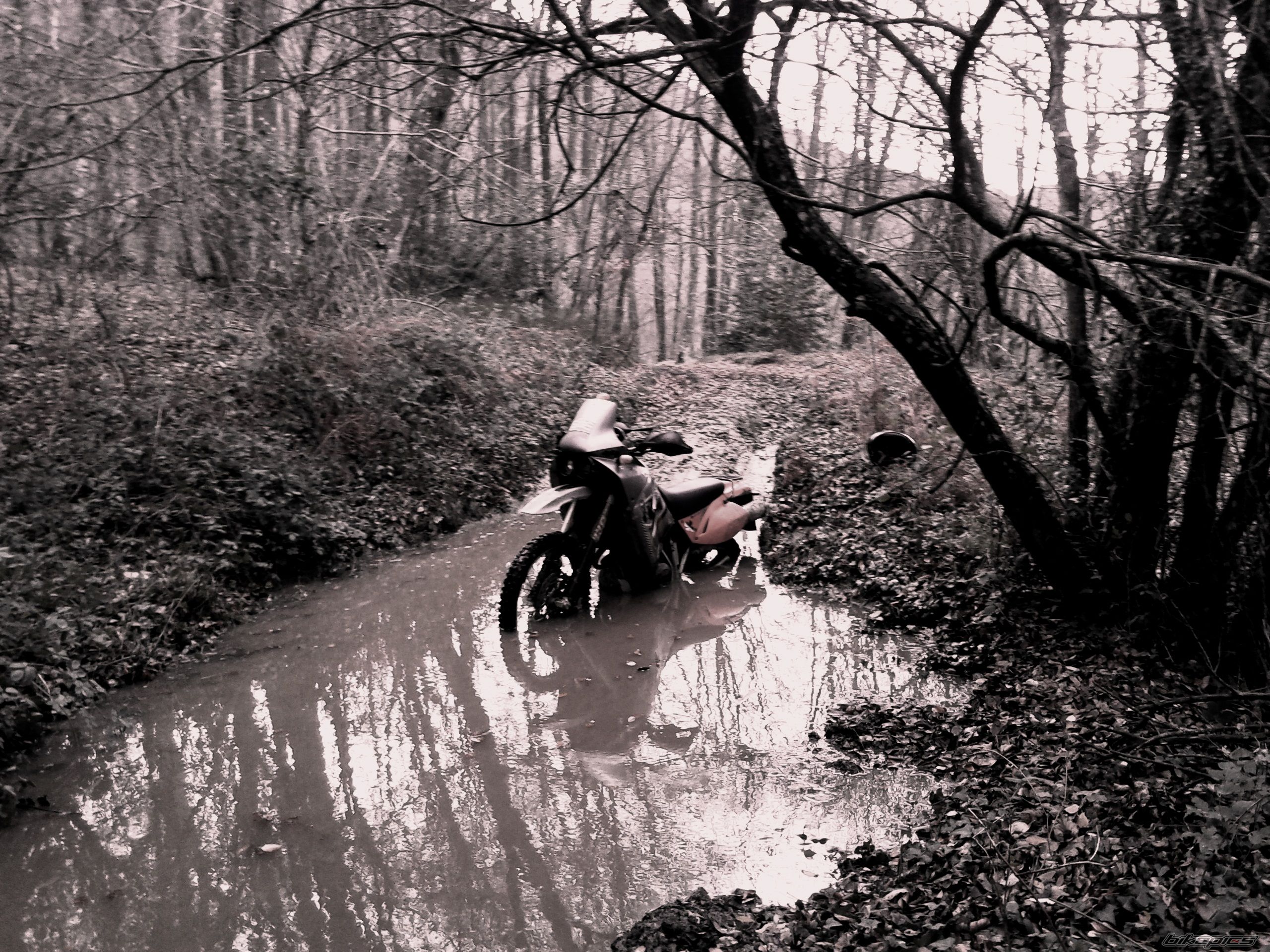Photo 2490987