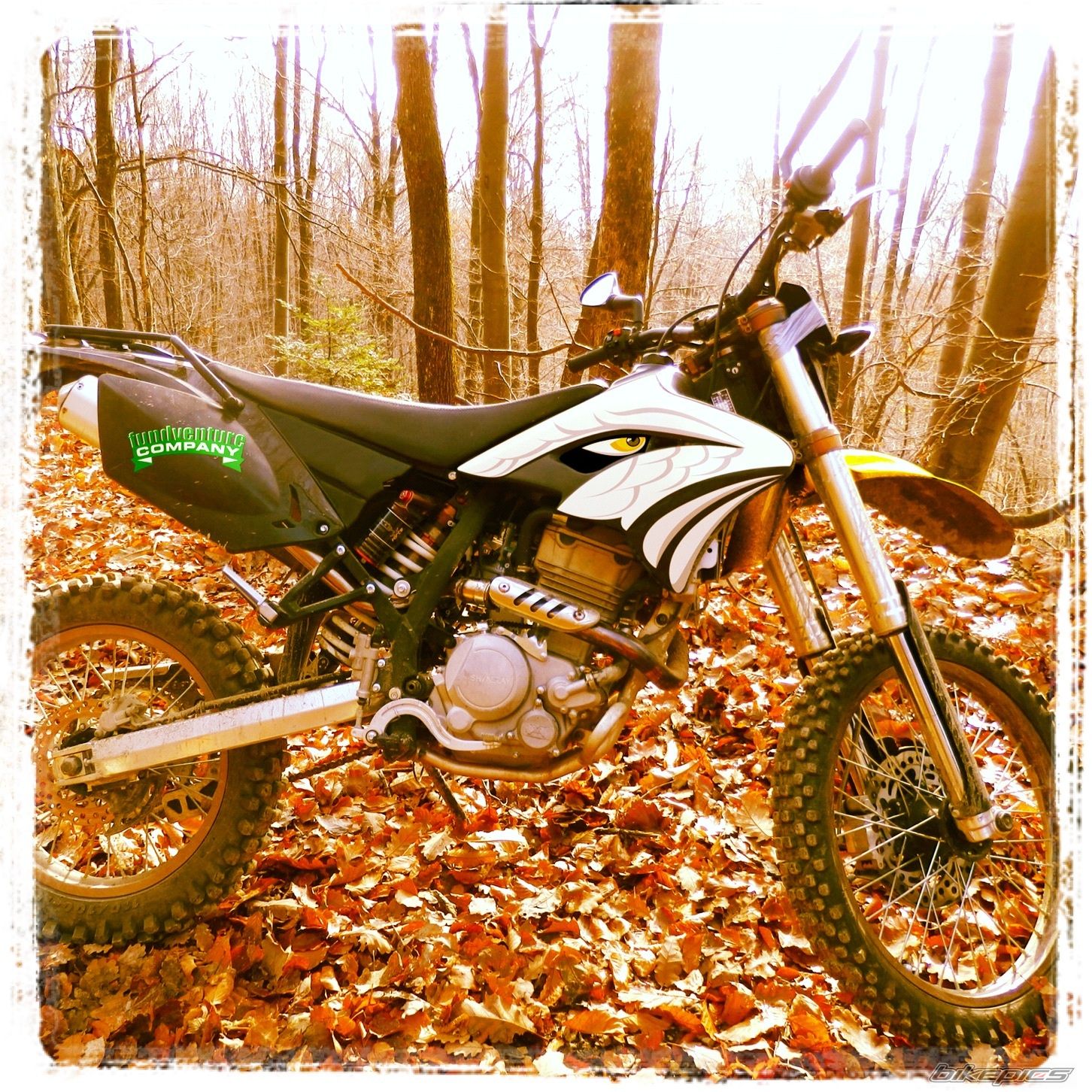 Photo 2491423