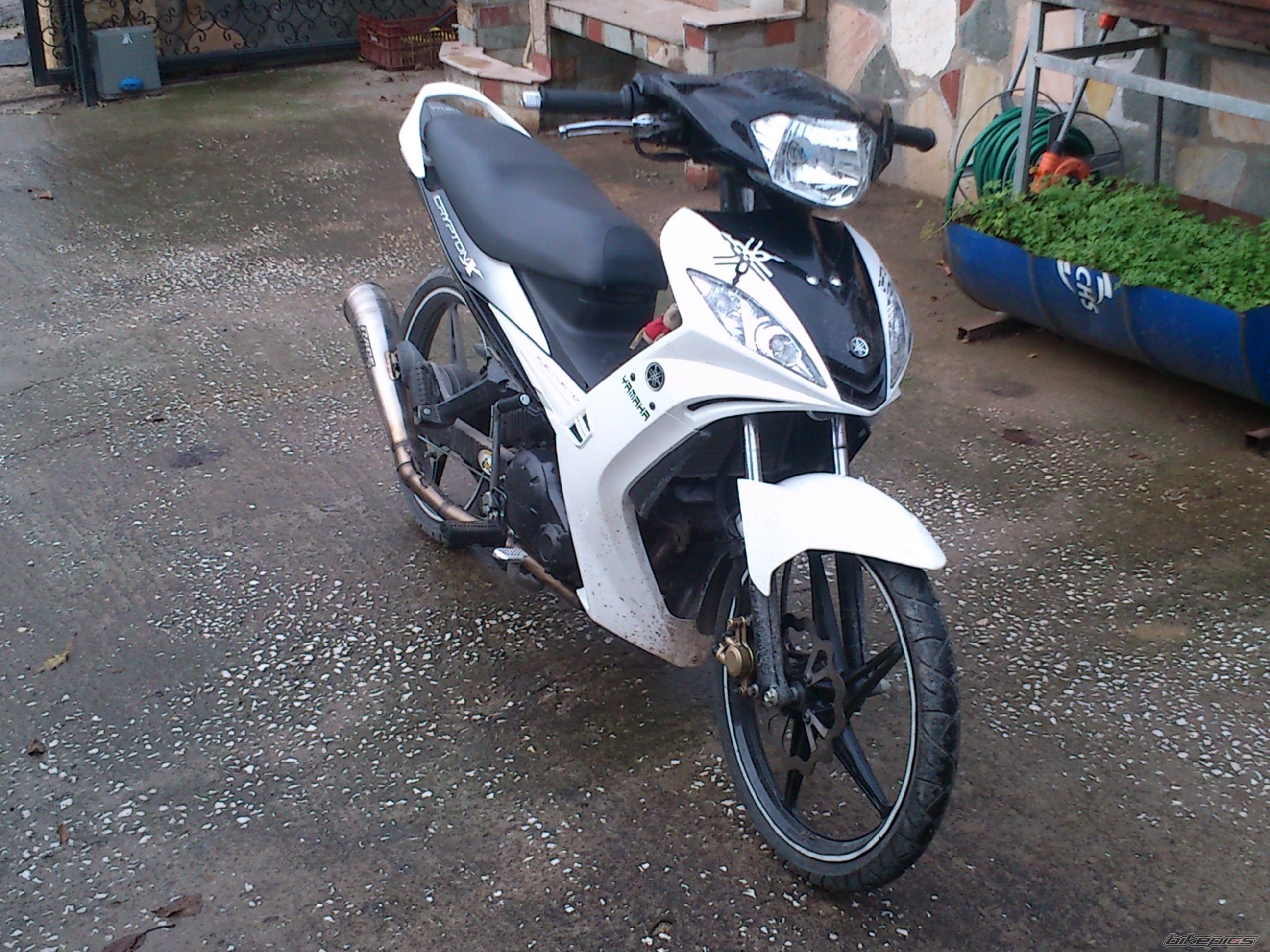 Photo 2493122