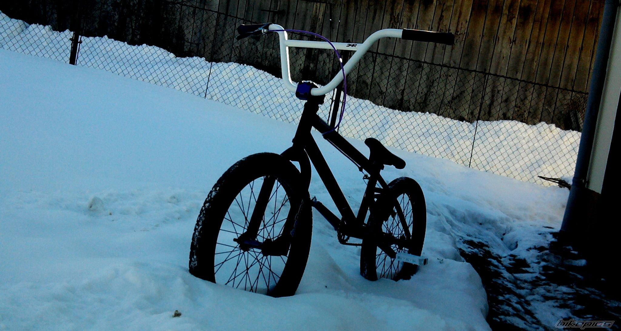 Photo 2493786