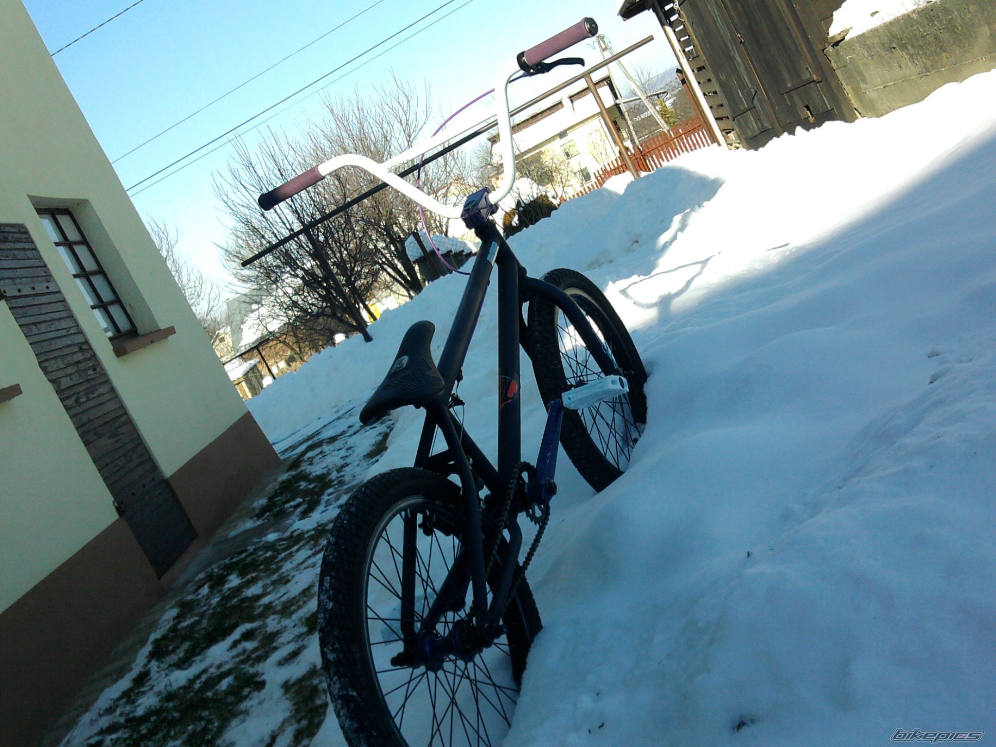 Photo 2493787